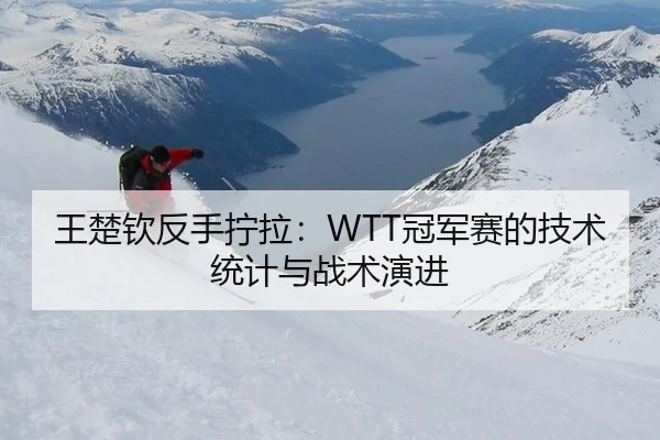 王楚钦反手拧拉：WTT冠军赛的技术统计与战术演进