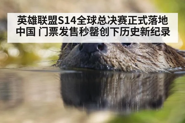 英雄联盟S14全球总决赛正式落地中国 门票发售秒罄创下历史新纪录
