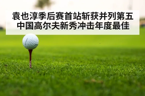golf tournament leaderboard